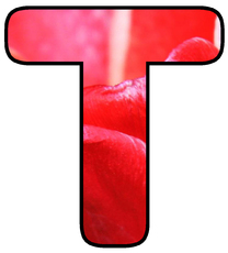 Deko-Buchstaben-Tulpe_T.jpg